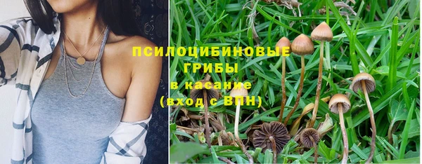 дмт Володарск